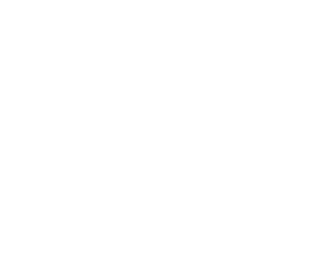 Twitter Bird Logo